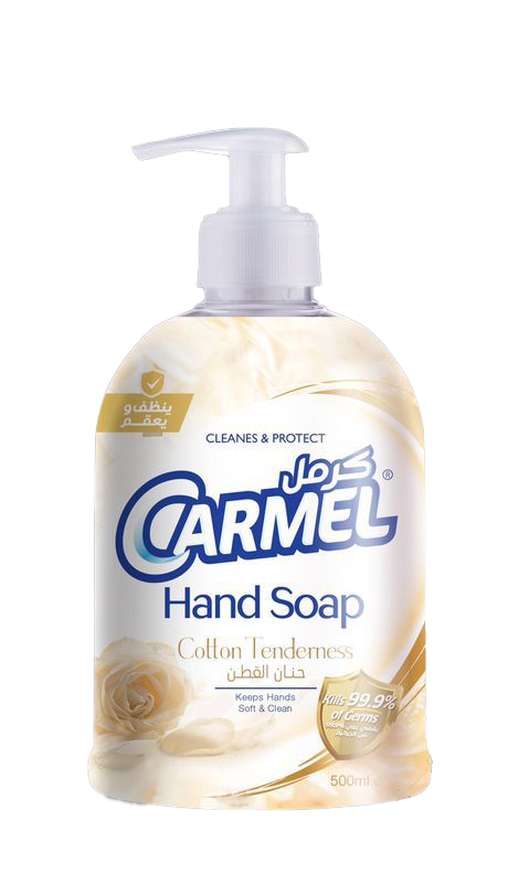 HAND LIQUID SOAP - 